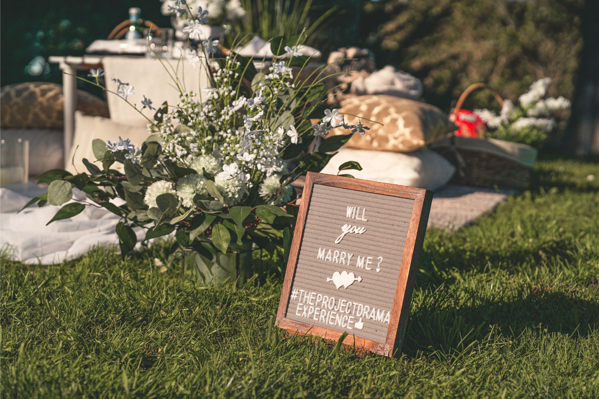 PREFERRED LOCATIONS FOR PICNICS-The Project Drama Events